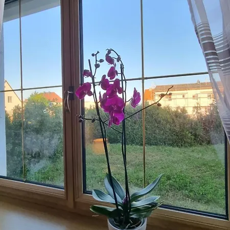 3- Zimmer-wohnung In Leonding Appartement *