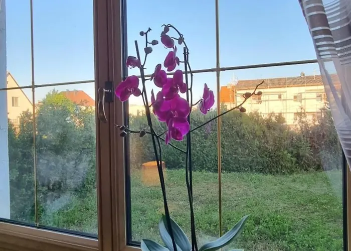 3- Zimmer-wohnung In Leonding Apartamento *