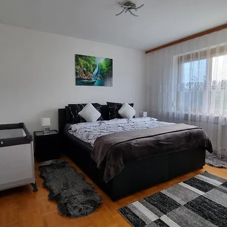 3- Zimmer-wohnung In Leonding Linz